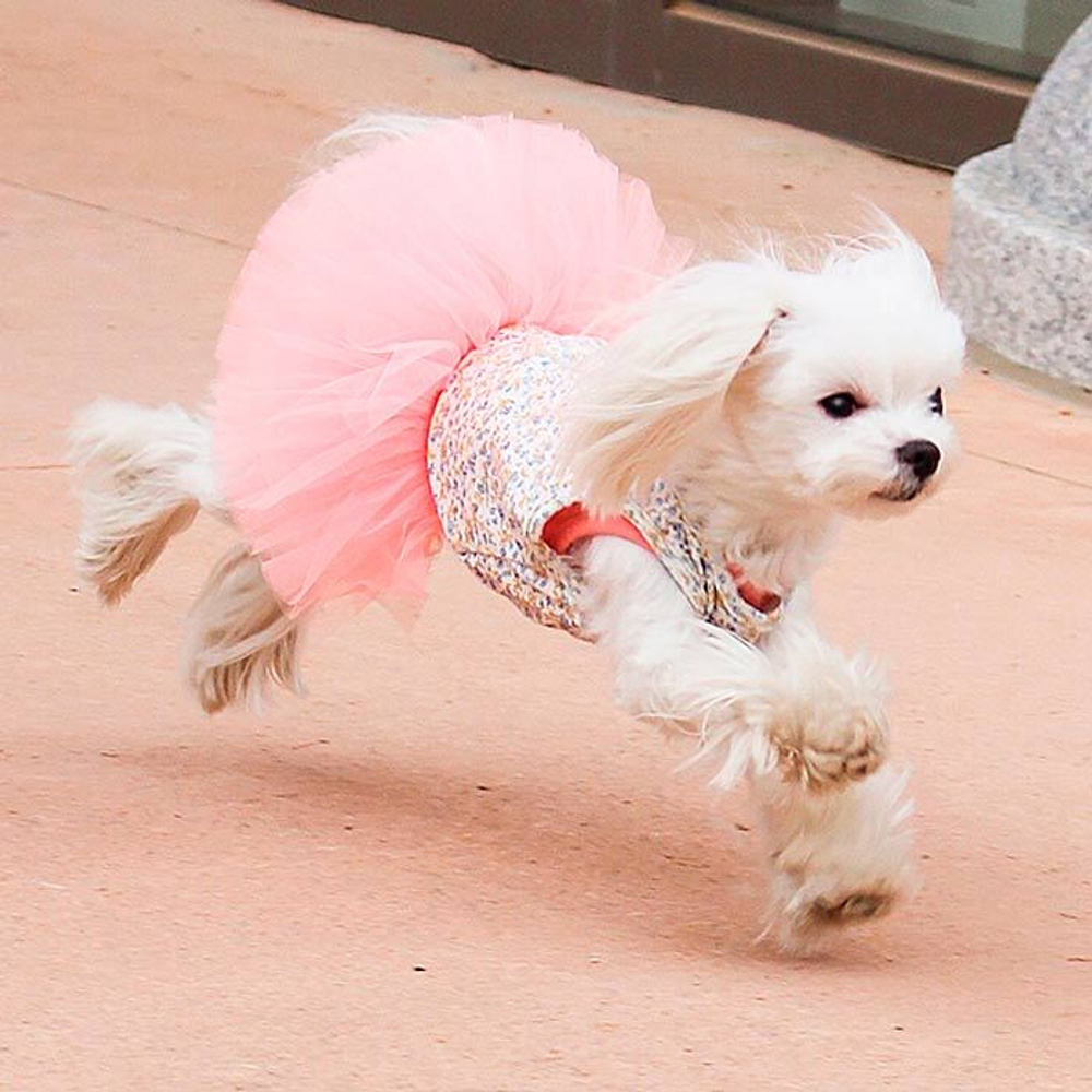 157 PA-DR Платье-пачка "Puppy Angel - TUTU Dress"