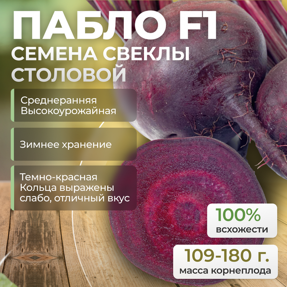 ПАБЛО F1 семена свеклы (Bejo) культура – фото 1