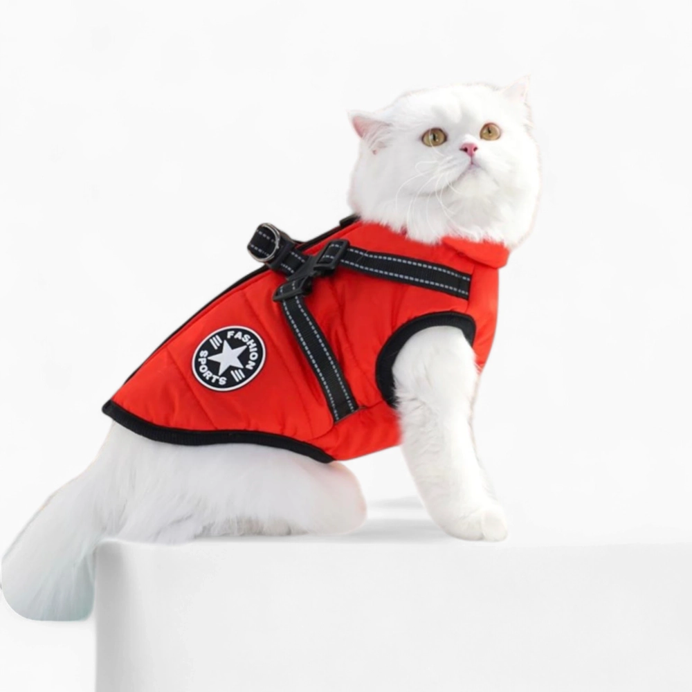 Жилетка «Fashion Star»