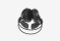 Audio-Technica ATH-A990Z_0426522102053