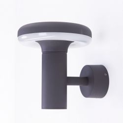 Citilux GARDA CLU01W LED Уличный настенный светильник Графит