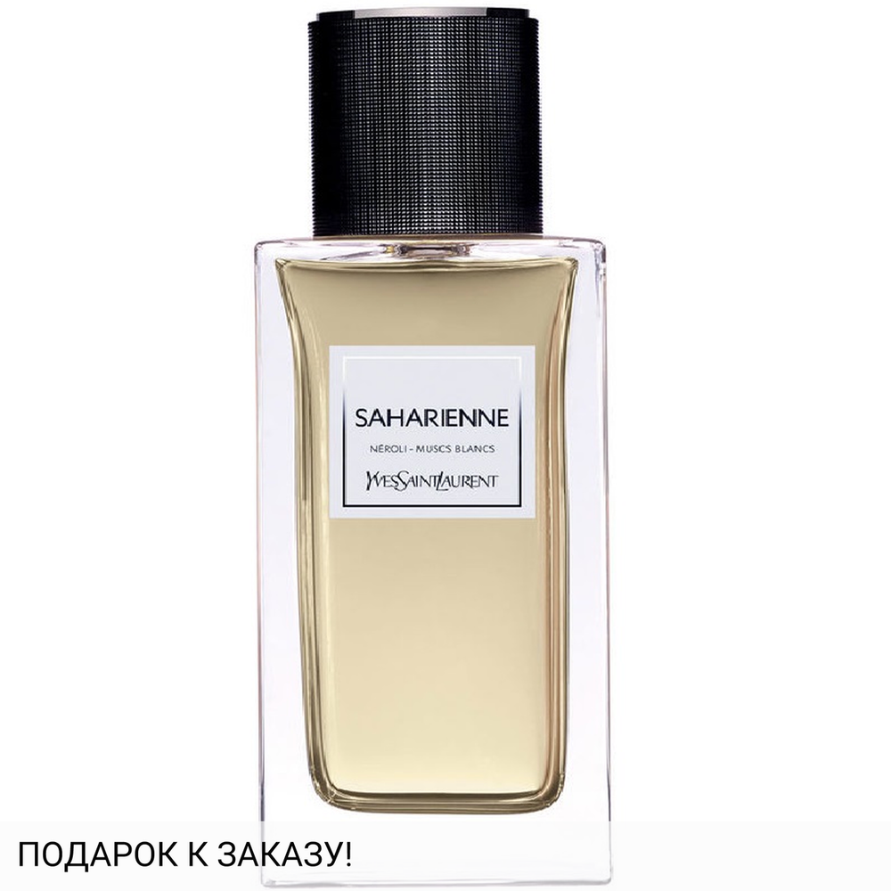 Yves Saint Laurent Saharienne 2015