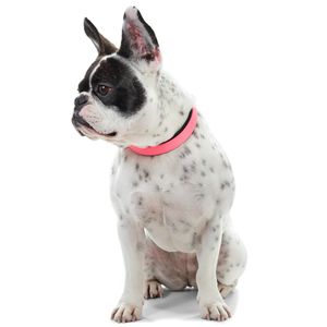 Ошейник для собак Hunter Convenience Comfort 55 (42-50 см)/2,5 см биотановый с мягкой горловиной розовый неон