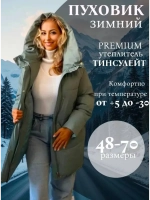 Пуховик зимний с капюшоном укороченный