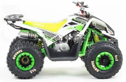 Квадроцикл Motoland 125 COYOTE