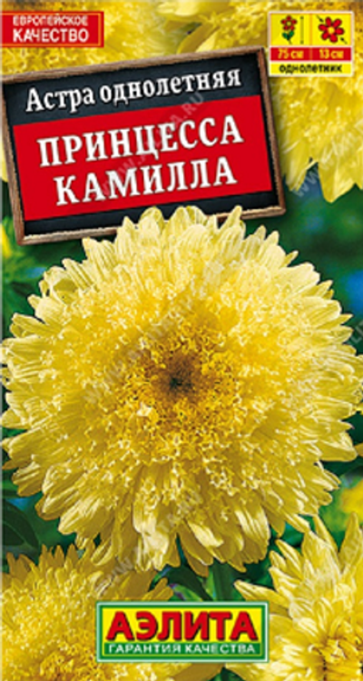 Астра Принцесса Камилла