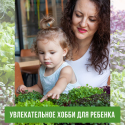 Агровата для выращивания микрозелени набор 10шт / 16,5*10*2 см /субстрат для выращивания микрозелени и растений