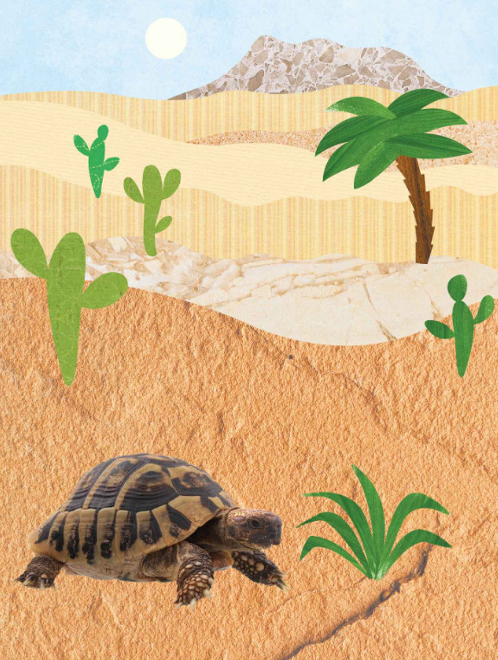 Книга С НАКЛЕЙКАМИ Фотонаклейки. В Африке (МС14564)