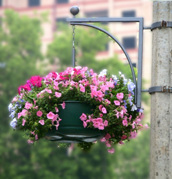 Цветочница Фигурная 2