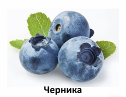 Alleva Care Cat Adult Urinary 360 Alleva Care Urinary 360 10кг полнорационный сухой диетический корм для взрослых кошек, предназначенный для растворения струвитных камней и предотвращения их рецидивов.