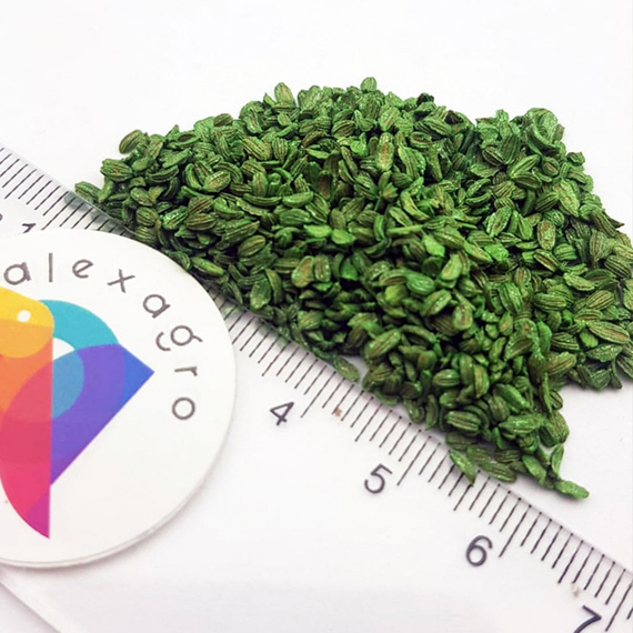 КАНАДА F1 семена моркови Bejo купить – фото 7