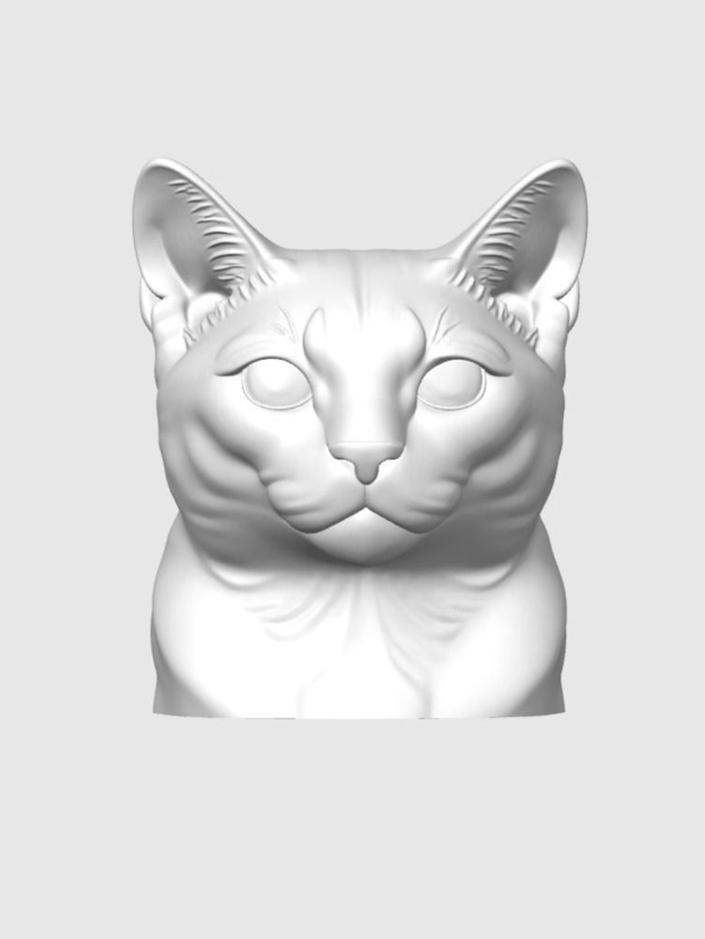 Русская голубая кошка