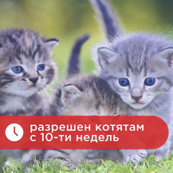 Спрей от блох, вшей и клещей АВЗ БАРС ФОРТЕ для кошек, 100 мл