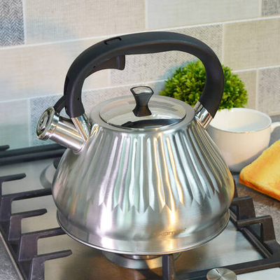 Чайник 3л нерж со свистком, с ручкой "soft touch"
