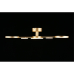 Потолочная светодиодная люстра Aployt Didian APL.015.07.33