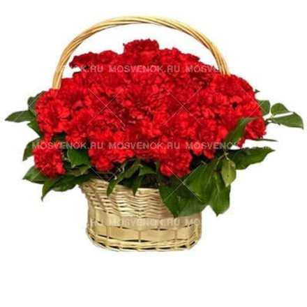 Ритуальная корзина из живых цветов 50 красных гвоздик