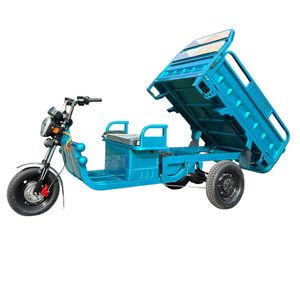 Грузовой электрический трицикл IKINGI CARGO C06 1500W (60V/45Ah) - Бирюзовый фото №2