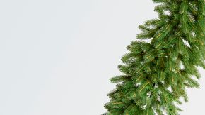 Хвойные гирлянды