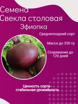 Семена Свекла столовая