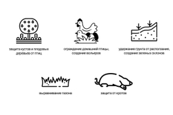 Сетка пластиковая от кротов Black Mole 1х10 м (10 кв.м.)