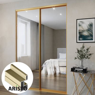 Дверь-купе ARISTO YOTA, зеркало, профиль золото матовое