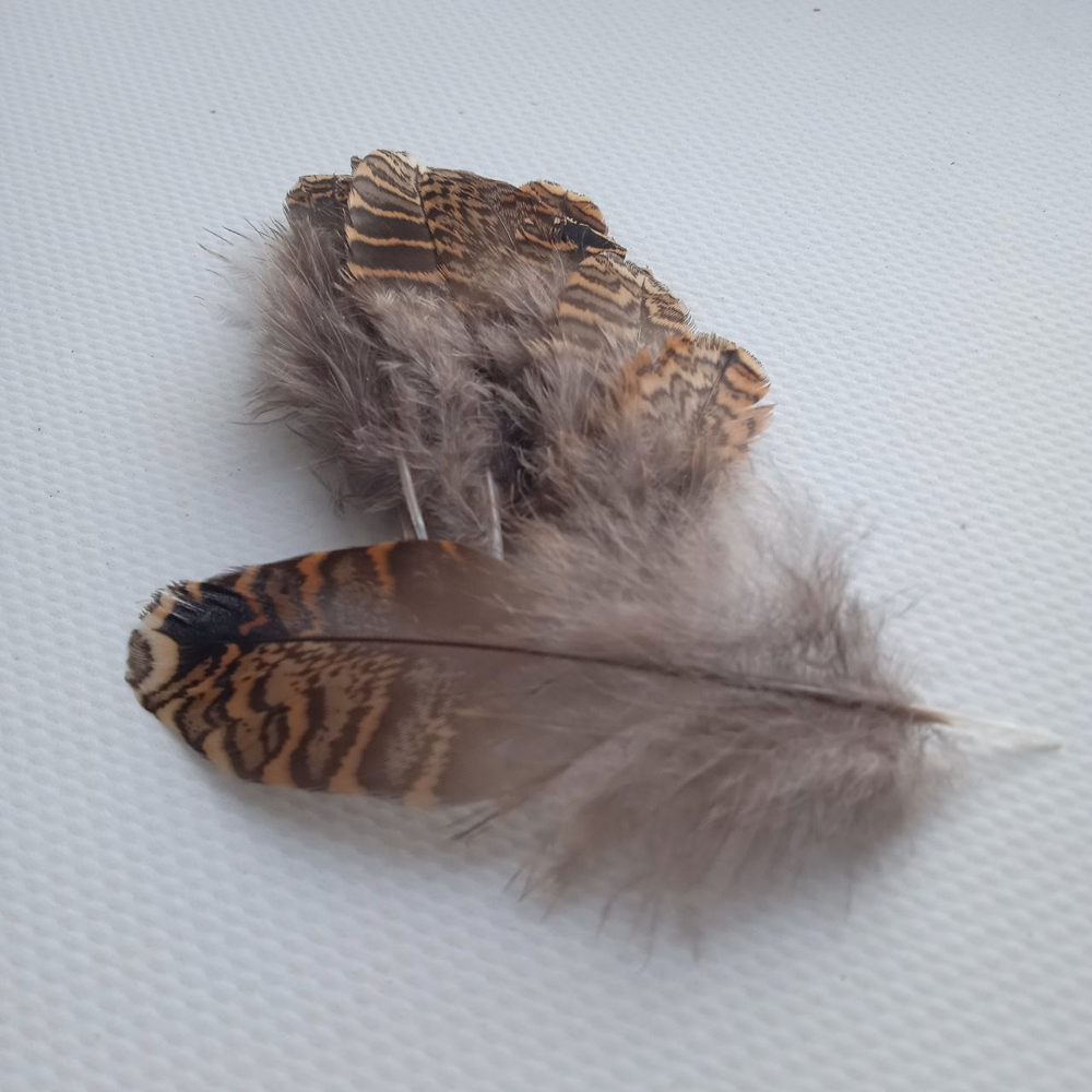 Перья вальдшнепа пушистые 4-7 см. 10 шт.