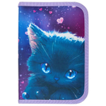Пенал BRAUBERG 1 отделение 1 откидная планка полиэстер 21х14 см "Anime cat" (2 штуки в упаковке)