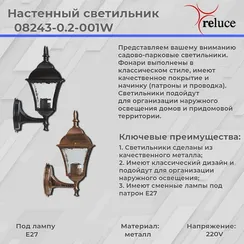 08243-0.2-001W BKG фонарь