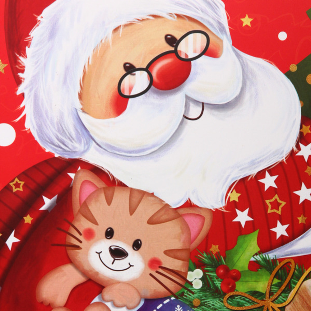 Пакет подарочный «Веселый Дедушка Мороз» 41,5*53*15,5 см, микс