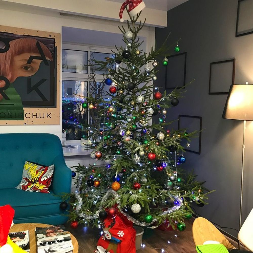 Живая елка русская