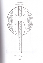 Первое путешествие в Афонские монастыри и скиты архимандрита, ныне епископа Порфирия (Успенского)