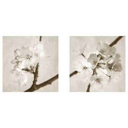 IKEA BILD  (ИКЕА БИЛД)  -  Плакат, Flora Maia, 50x50 см