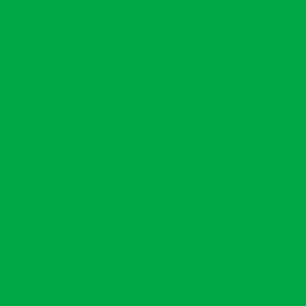 Фон нетканый Fotokvant FTR-1317 1,6х5,0 зелёный