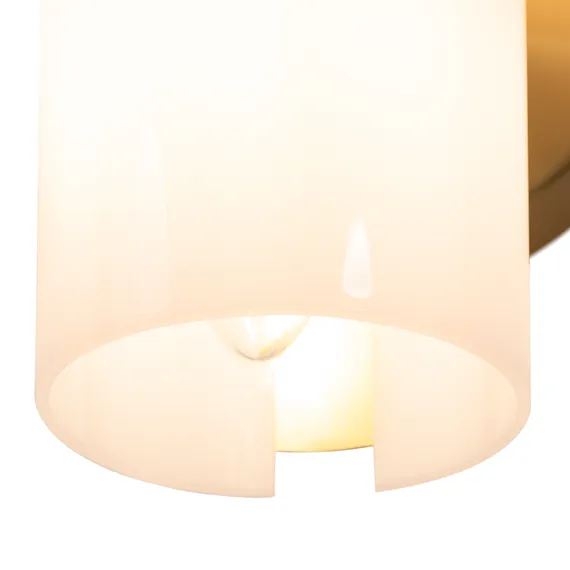 Настенный светильник (бра) Цветок / Fiore Freya fr5368wl-02bs