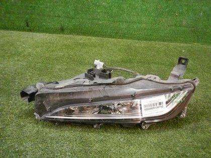 ПТФ левая Lexus RX 4 (2019-н.в.) (В пленке)