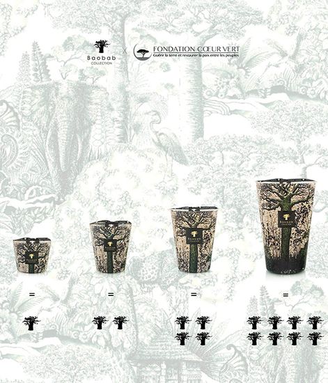 Kani, свеча MAX 24 Sacred Trees collection, Baobab Collection