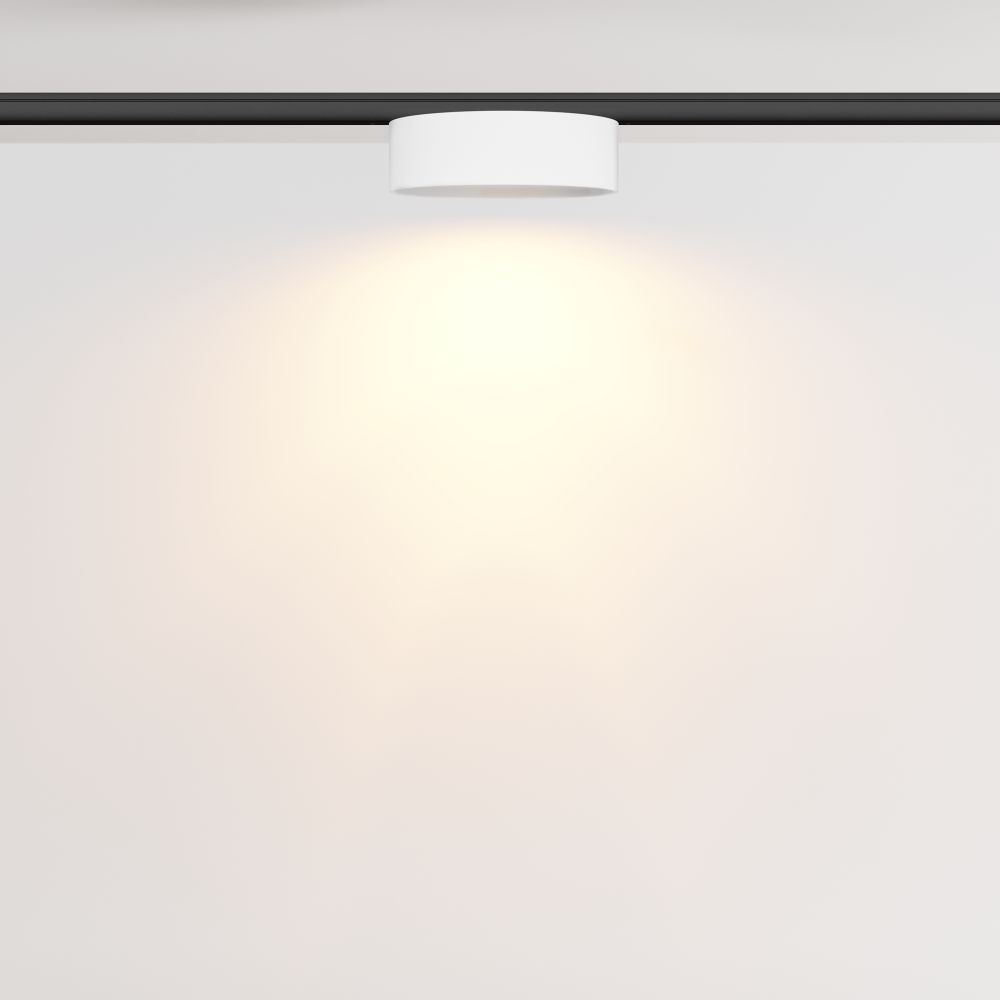 Трековый светильник Technical TR189-1-12W2.7K-BW