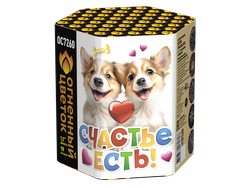 Счастье есть! 1,1" х 19 залпов,  1/18, шт
