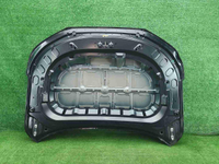 Капот Chery Tiggo 8 Pro (2021-2024)