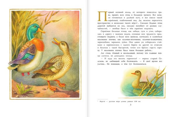 Серая шейка