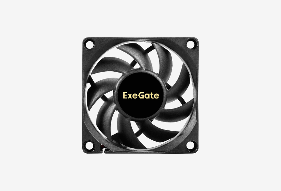 EX297038RUS_0126522103737