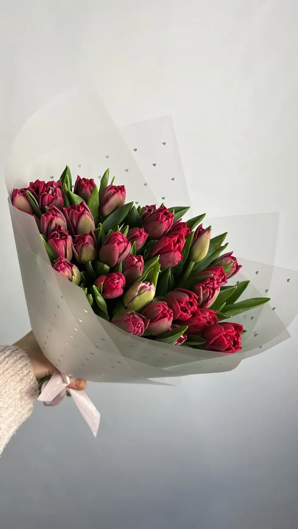 31 пионовидный бордовый тюльпан 