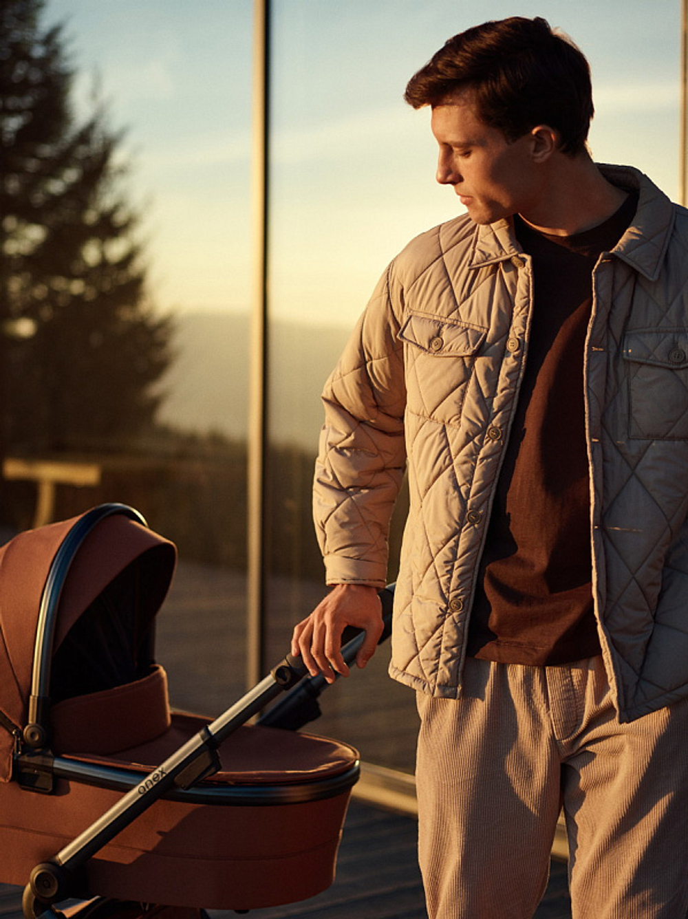 Детская коляска Anex l/type 3 в 1 Hazel