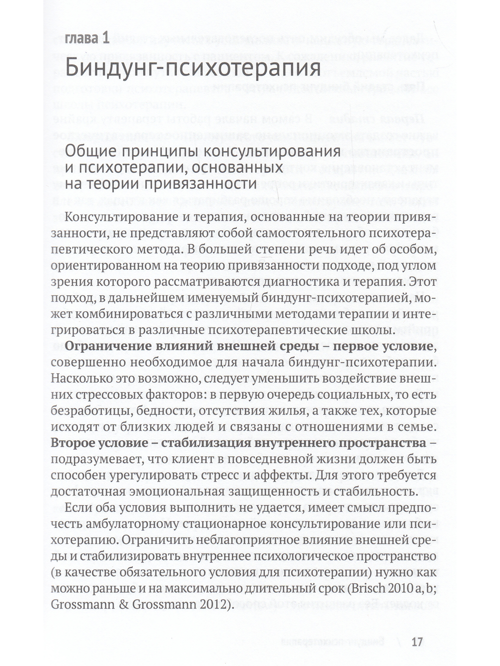 Биндунг-психотерапия: беременность и роды. Серия Консультирование и терапия, основанные на теории привязанности