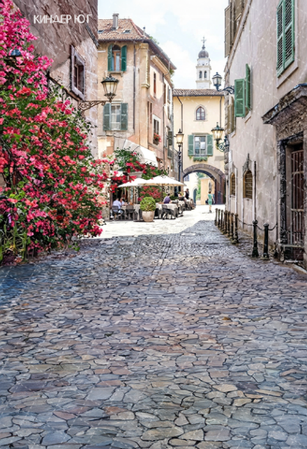 Фотофон "Винтажная улица" арт. ФФ903-80