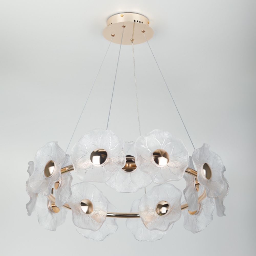 Люстра Rivoli Shannon 6135-101 светодиодная LED 30 Вт 3000 K дизайн | Дизайн