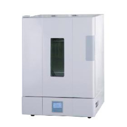 Precision Air blast drying oven
