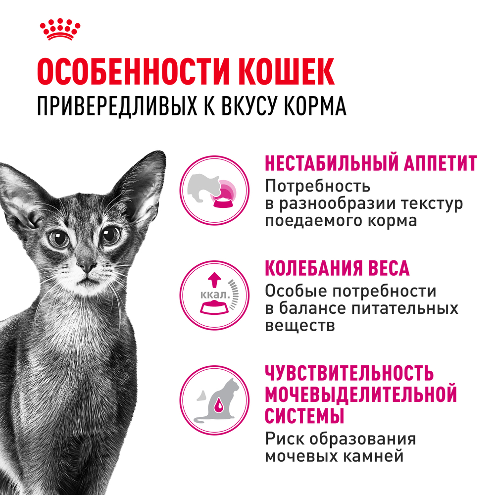 Royal Canin Savour Exigent Корм сухой сбалансированный для привередливых взрослых кошек от 1 года - 0,4 кг