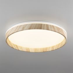 Citilux ENZO CL753452G LED RGB Светильник с пультом Клён