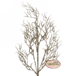 Ветка хвойная «Зимняя свежесть» 67 см, Шампань